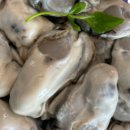 기와집보쌈 이미지