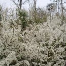 대구성서우체국 이미지