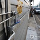 채안과 오피니언뉴스