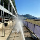 우리소 농장 이미지