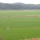 하늘빛으로 물든새 이미지