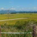 의령 안희제 생가 이미지