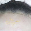 캣츠헤어 - 봉화군 봉화로 1193-1 | 캣츠헤어