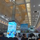 미스사이공정관모전점 이미지