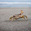 석촌식당 이미지