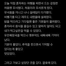 바바호미 이미지