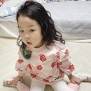 그래채 이미지