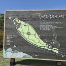안동시 제비원석불, 연미사, 이천동삼층석탑 이미지