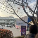 픽미노래연습장 | 2025 WOODZ CONCERT: index_00 후기