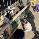 일석목장 이미지