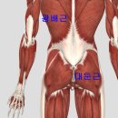 화목한의원 이미지