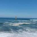 설악비치공인중개사사무소 이미지