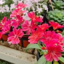 천덕산로 이미지