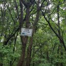 검암산(정상) 이미지