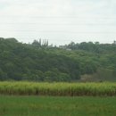 동부농장 이미지