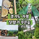 푸른숲 이미지