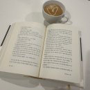 Q-2 | 2026년의 1Q84 - 2회독 후기. 나의 두개의 달은?