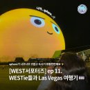 [WEST프로그램] ep.11 westie들과 las vegas 여행기 1️⃣