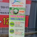 버블버블셀프워시카 이미지