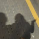 배씨상회 이미지