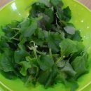 몽실농장 이미지