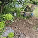 정하목장 이미지