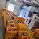 등구농장 이미지