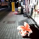 배스킨라빈스방화역점 이미지