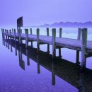 자연하모니 이미지