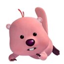 통일애견 이미지