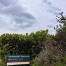 [호주 여행] Melbourne Day 2.2 그레이트 오션로드 선셋투어 시작 : 콜락, 12사도, 레이저백, 로크아드고지
