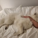 레인 켄넬 이미지