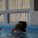 죽동리 | 경상북도 경주 가볼만한곳 애견동반 당일치기 데이트코스 | 카페 괘릉•위 클라드 애견 풀 빌라