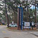 몽산포 야영장 이미지