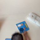 만 12개월 아기 책육아 전집 10개 후기(그래그래, 영아다중, 말하기, 돌잡이 등등)