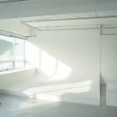 스튜디오코이드