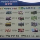 동서고속주유소 이미지