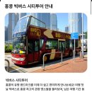 트램라인투어 이미지