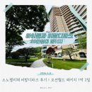 소노펠리체 비발디파크 실버 파크뷰(클린) 후기｜아이랑 오션월드 패키지 1박 2일