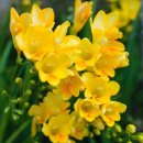 잘커농장 이미지