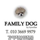 패밀리독 이미지