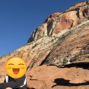 올뉴팻 주식회사 | LA 그랜드캐니언 2박 3일 투어 후기 및 비교 내돈내산