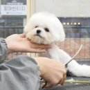 늘, 빛나개 이미지