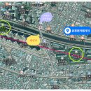 온천천시민공원 동백 이미지