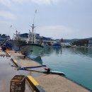 장군멸치회촌 이미지