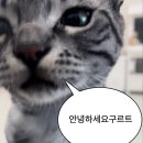 기욤네일