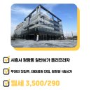 폴리프라자1 이미지