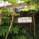 배목수집 이미지