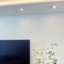 재스민향기 | 대구 공기정화 식물 ｜향기 가득 오렌지자스민 거실 화분 배송 후기