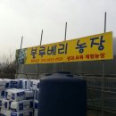 베리사오 네이버블로그